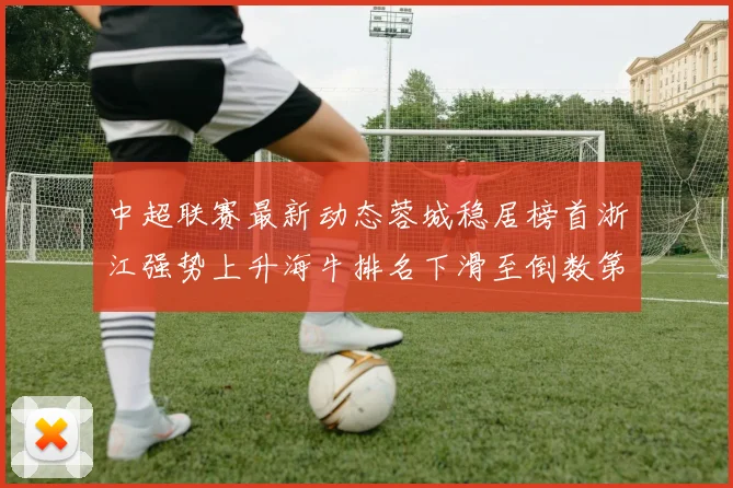 中超联赛最新动态蓉城稳居榜首浙江强势上升海牛排名下滑至倒数第三