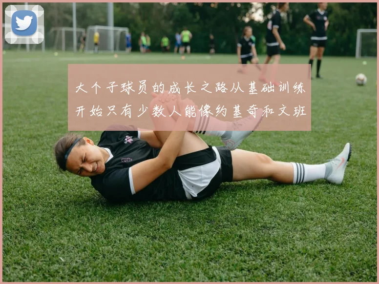 大个子球员的成长之路从基础训练开始只有少数人能像约基奇和文班那样成功